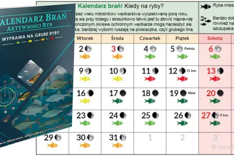 Sekrety kalendarza brań: Kiedy ryby żerują najlepiej?