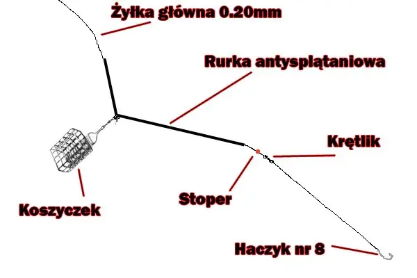 Jak złowić lina? Przynęty, zanęty i taktyka Mój sprawdzony sposób
