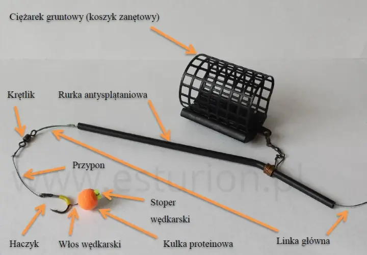 Pierwszy zestaw wędkarski: jak skompletować i zacząć łowić?