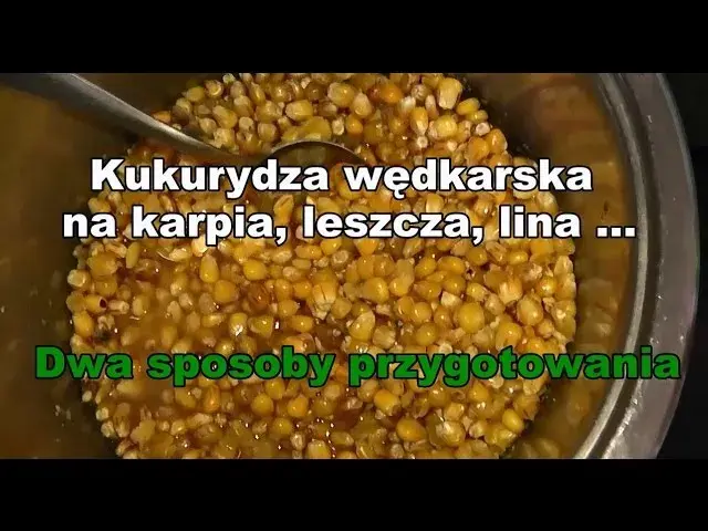 Idealna kukurydza na ryby: Gotuj jak ekspert, łów karpie!