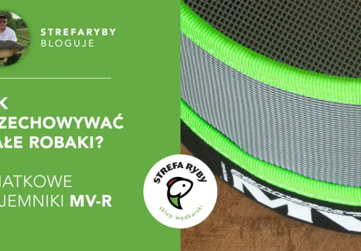 Jak przechowywać robaki na ryby? Sekrety długiej żywotności przynęt