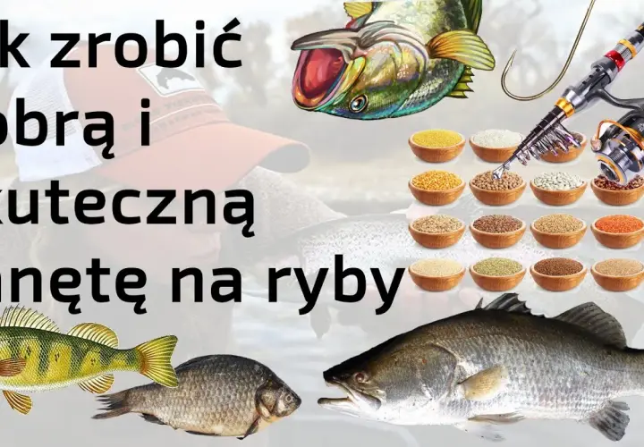 Jak zwabić ryby na łowisko? Skuteczne zanęty i techniki