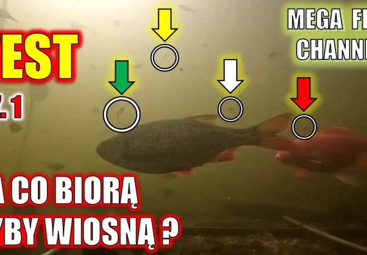 Na co łowić ryby? Sekrety przynęt i zanęt Damiana Baranowskiego