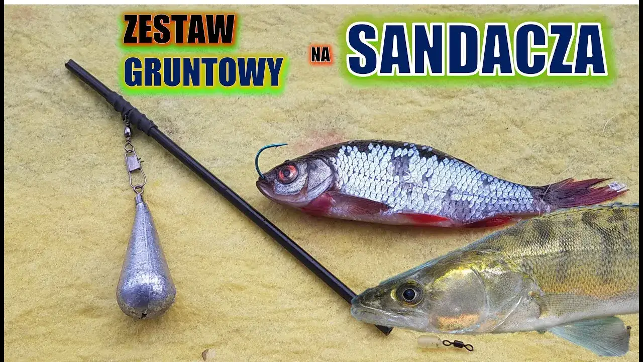 systemiki gruntowe na sandacza